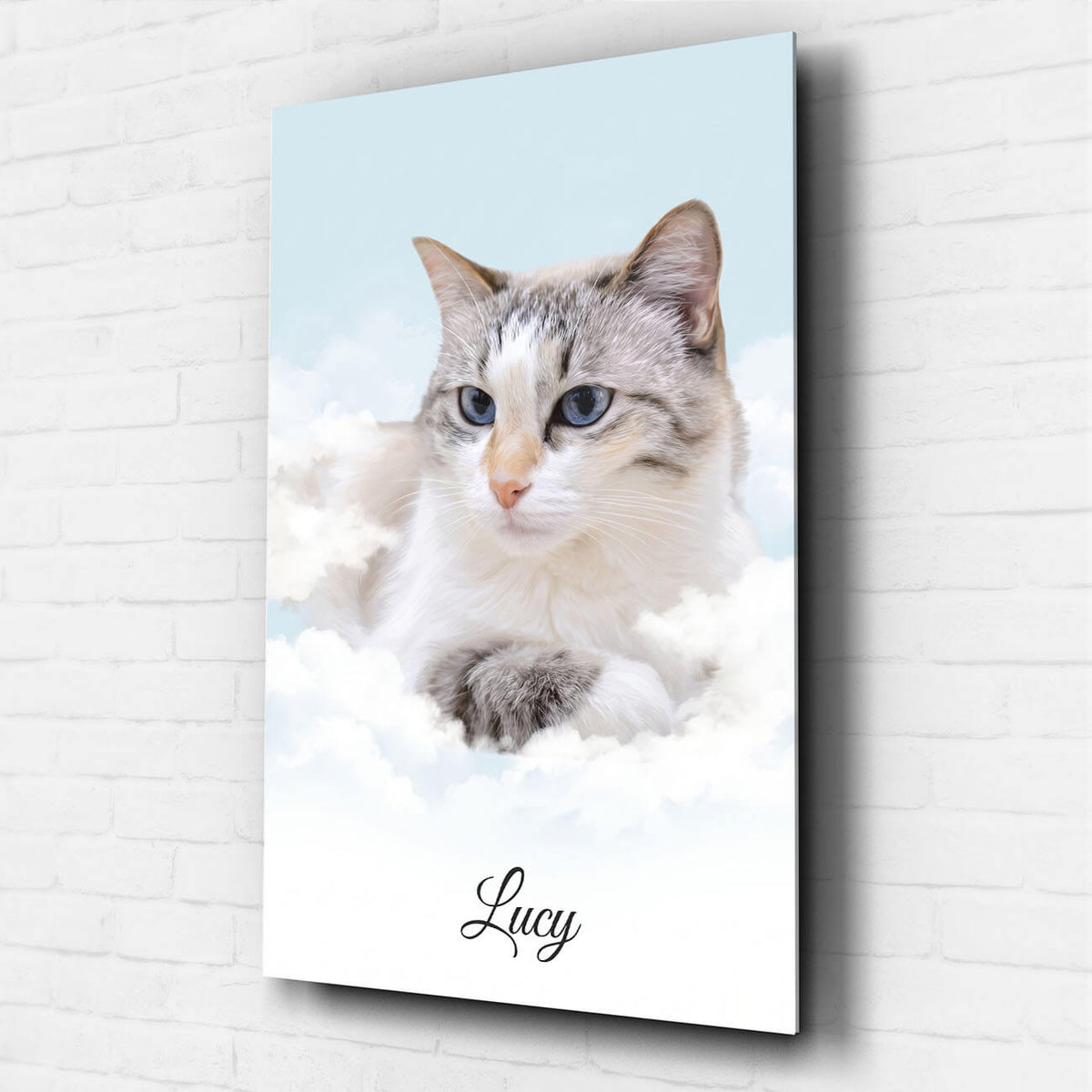 Retrato de gato personalizado en las nubes a partir de tu foto - vidrio acrílico