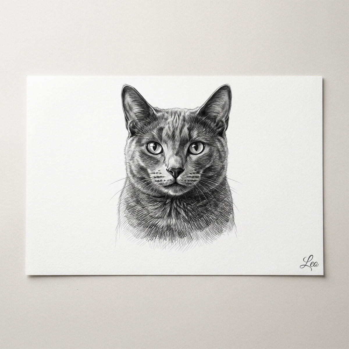 Retrato de gato en estilo lápiz (formato horizontal) a partir de tu foto - póster