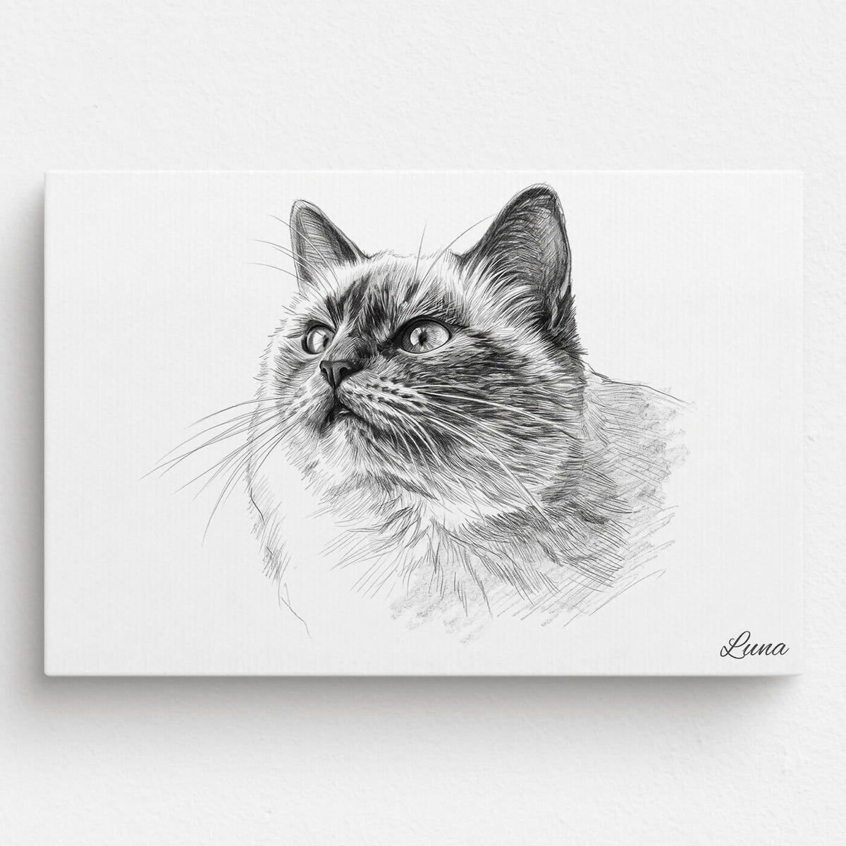 Retrato de gato en estilo lápiz (formato horizontal) a partir de tu foto - lienzo