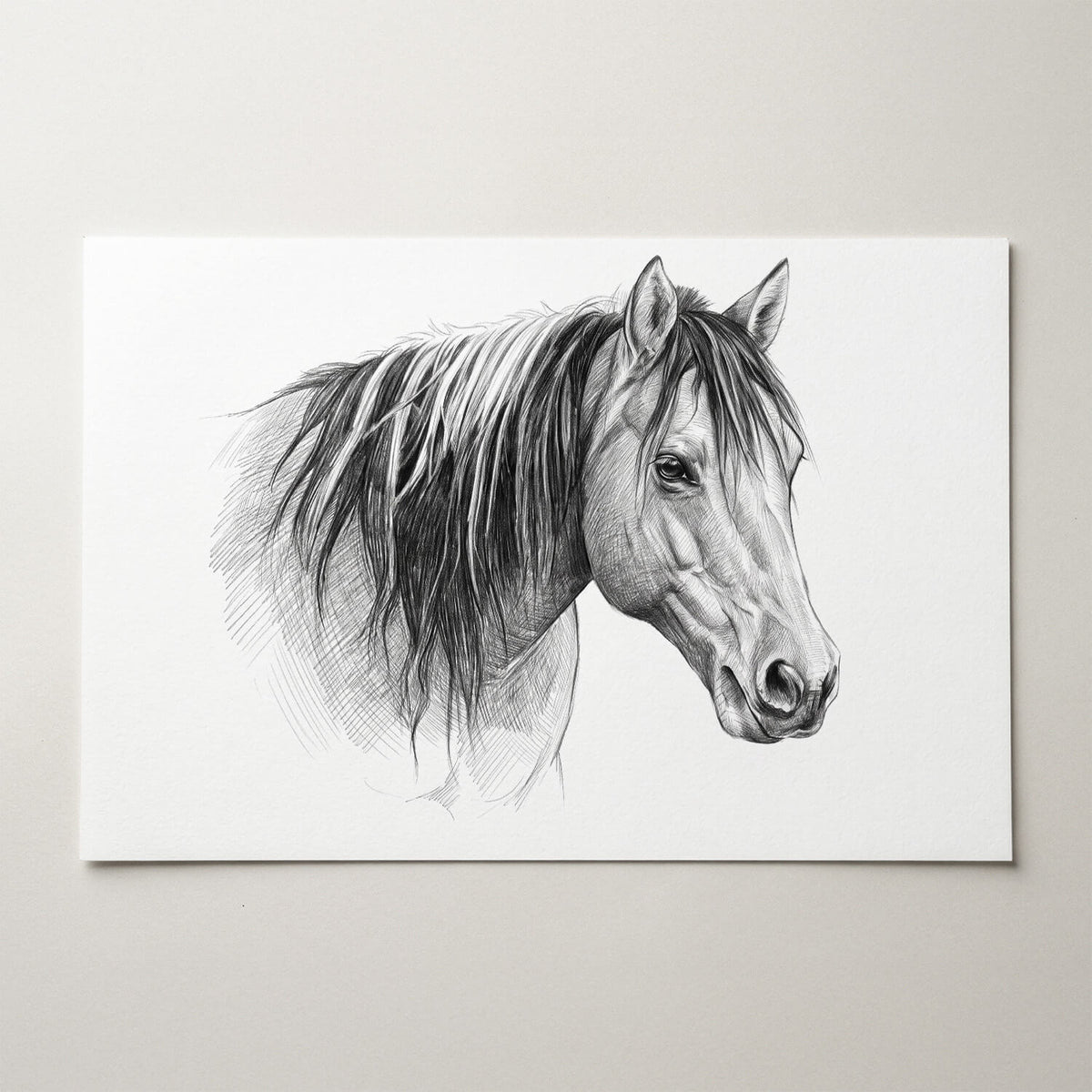 Retrato de caballo en estilo lápiz (formato horizontal) a partir de tu foto - póster